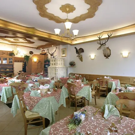 Zoldana 3*